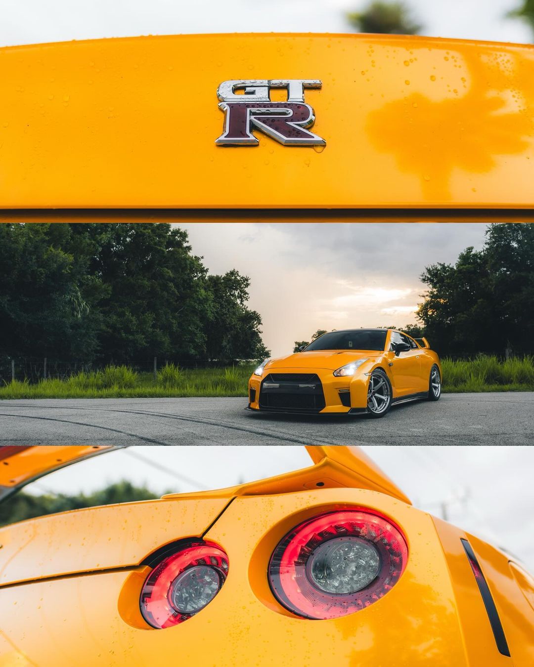 Yellow (GTR) Pic 11