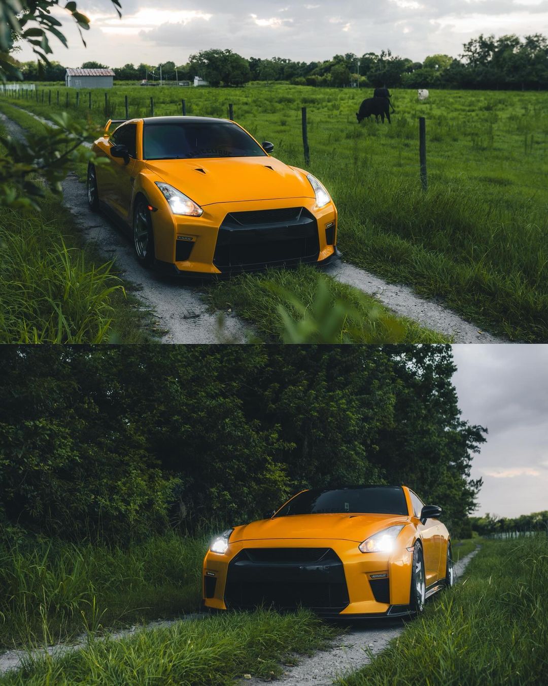 Yellow (GTR) Pic 2