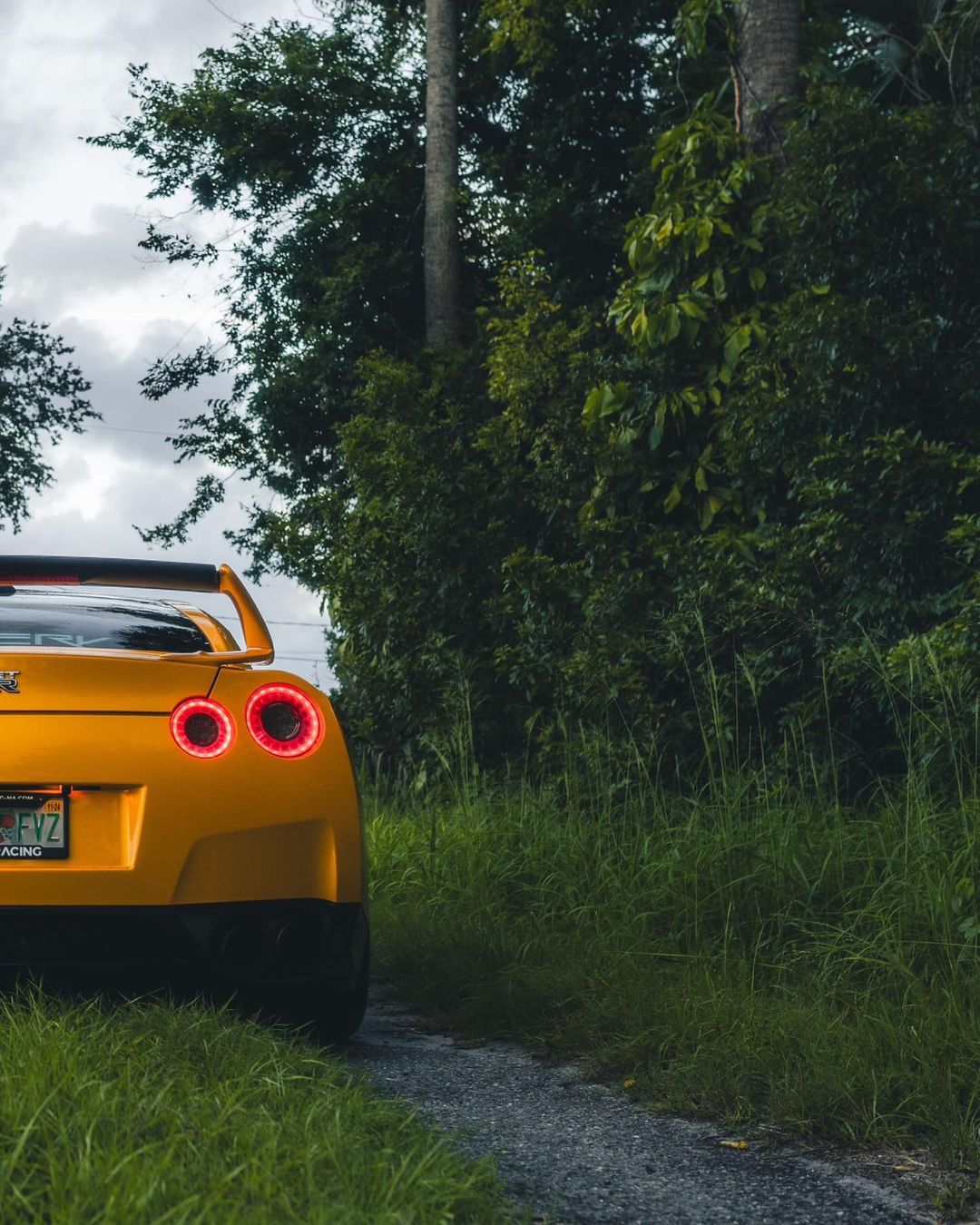 Yellow (GTR) Pic 4