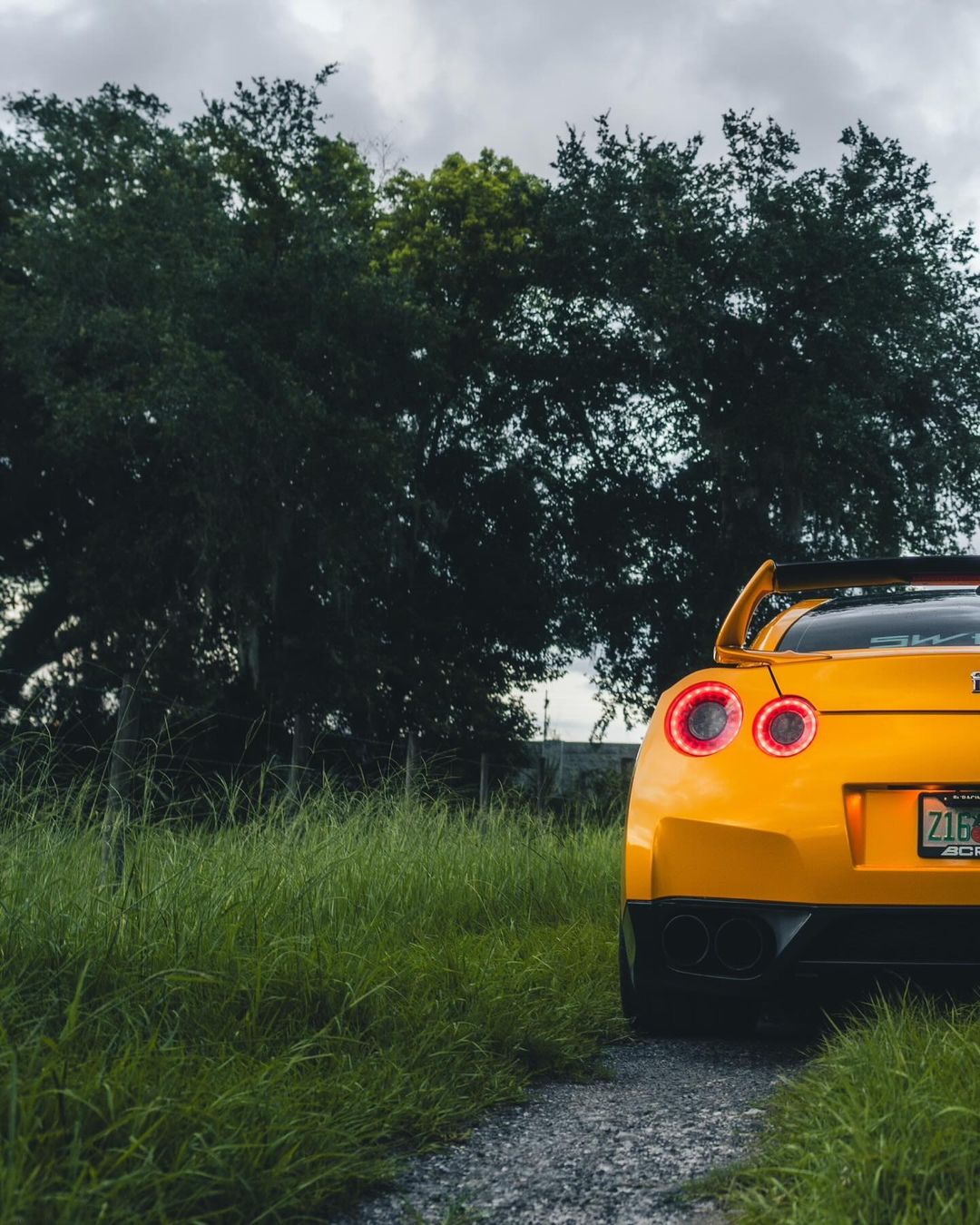 Yellow (GTR) Pic 5