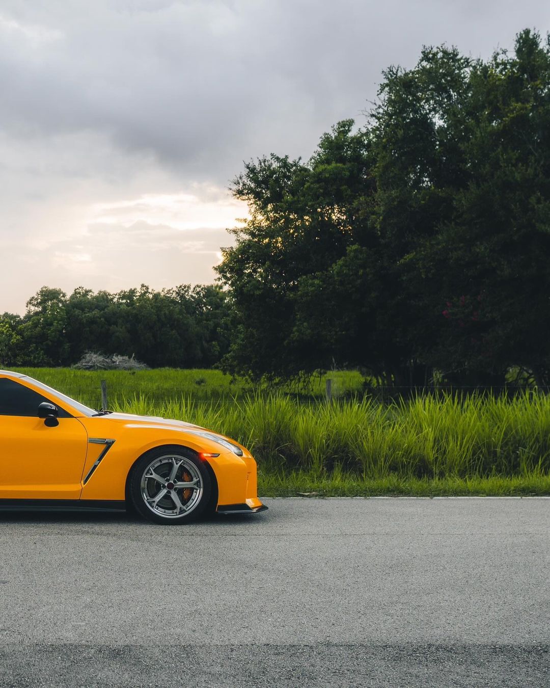 Yellow (GTR) Pic 8